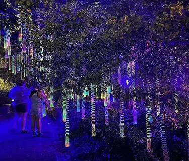 illumine 2026 Oakland Cemetery