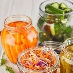 Fermi-culture: The Art and Science of Vegetable Fermentation