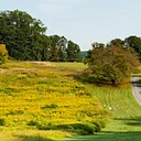 Garden & Estate Insider: Browns Woods Meadow