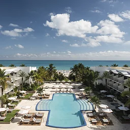 Daily Wellness Classes at The Ritz-Carlton