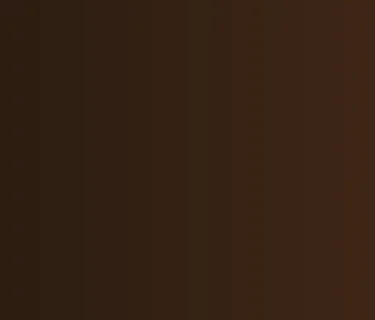 Eric Link + Vince Allis