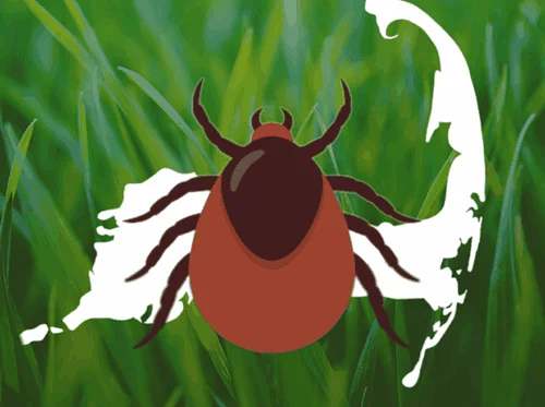 Make Ticks Take a Hike!