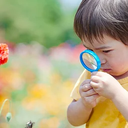 Tech that Teaches · September Seeds to Sprouts