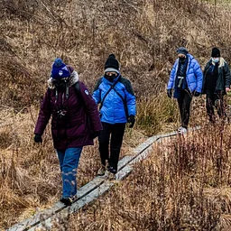 Black Friday Gratitude Hike
