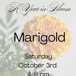 A Year in Bloom: Marigold