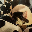 Emerging Artist | September & October