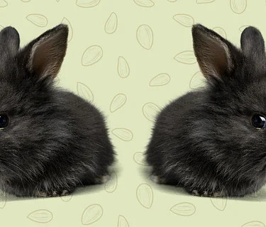 Yulee Branch Closed for Spring Break