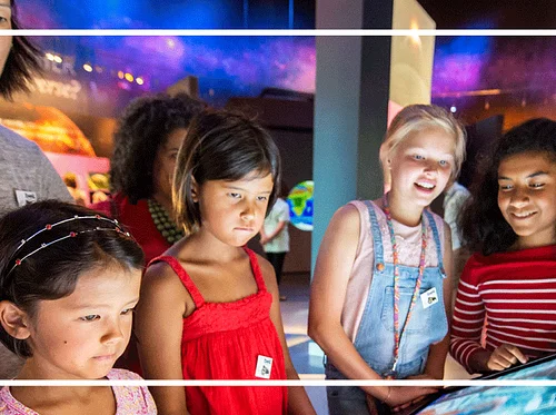 Bell Museum Homeschool Day