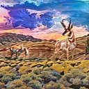 2026 High Desert Rendezvous