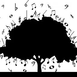 Music Appreciation Series: Christopher Allen, Classical Guitar
