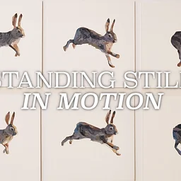 Standing Still in Motion | Cory Rain | Dec 4th - Dec 26th