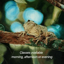 Painting with Terry Lynn AM, PM and Evening (all levels)