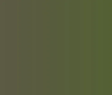 WARREN COUNTY HISTORICAL SOCIETY – ROARING 20’S BENEFIT