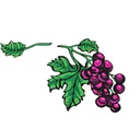 The Vineyards Trattoria and Pizzeria