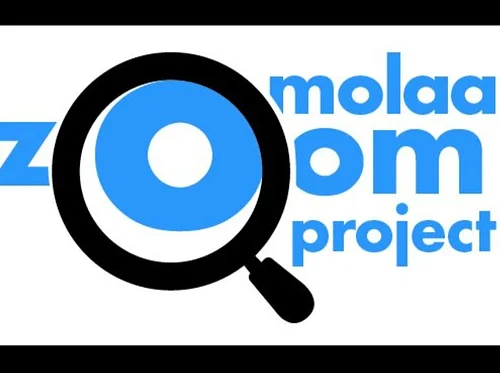 MOLAA Zoom Project – Antonio Romero (El Salvador, 1978) - LIVE in Spanish