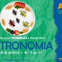 Artecito Virtual Ants