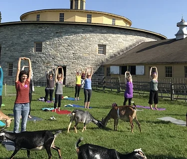 Goat Yoga – June 6