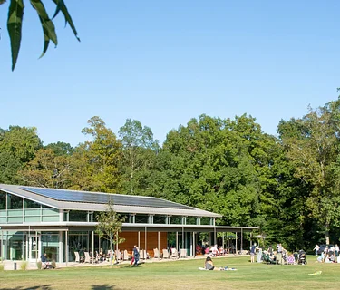 Get to Know the Greenway Van Tour