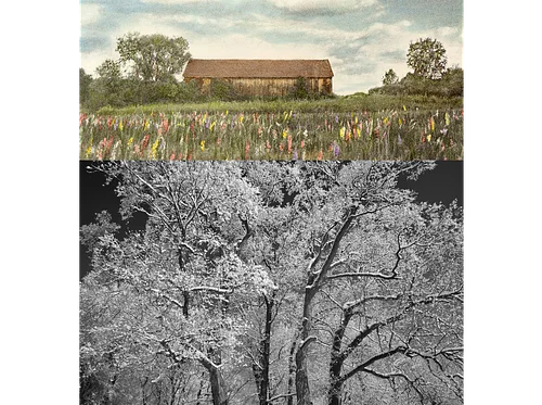 Seasons of Change Art Exhibit: Laurie Tavino and Ray Pioggia