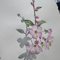 Watercolor Workshop Cherry Blossom