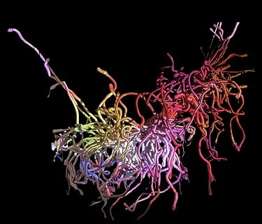 VIVID Fiber Curated Exhibition
