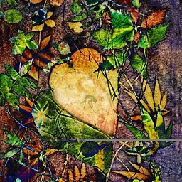 Autumn Storytelling With Sharon McFeely and Katia Nyysti