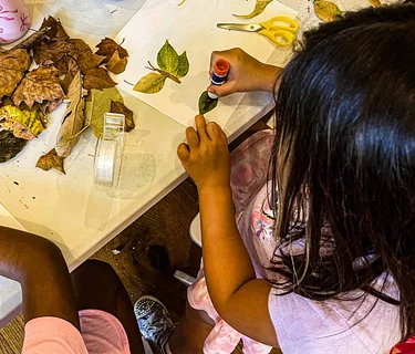 Seasonal Sprouts: Artful Explorers