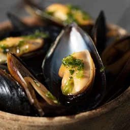 Public Class: Essential Shellfish Techniques with Chef Matt Shapiro
