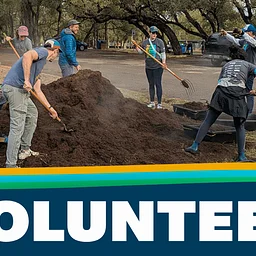 Volunteer: Monkey Tree Fall Refresh and Swim