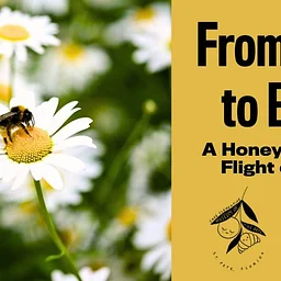 From Hive to Bite: A Honey Tasting & Flight of Bites with Café Clementine x Noble Nectar Apiaries