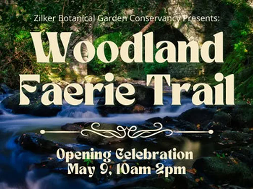 Woodland Faerie Trail Opening Ceremony!