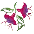 Kopke's Greenhouse