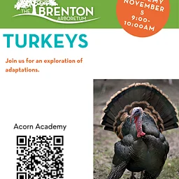 Acorn Academy (Ages 6 and up)