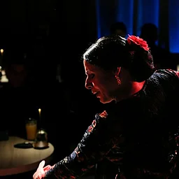 Noches de Flamenco