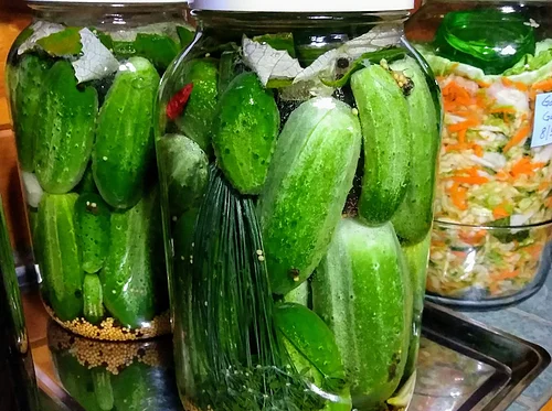 Lacto-Fermented Pickles Workshops