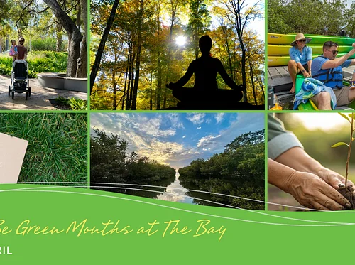 Good to Be Green Months at The Bay (March & April)