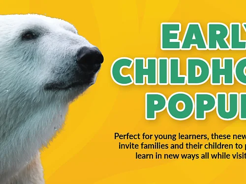 Early Childhood Pop-Up: Young Zoologist