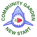 The Shark Garden