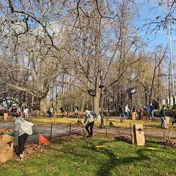 Volunteer Day: Leaf No Trace