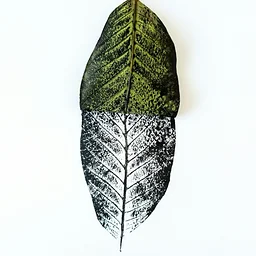 Creating with Nature: Nature Prints