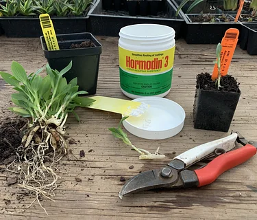 Slice, Dice, and Divide – Propagation Workshop