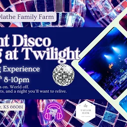 🪩 FREE SILENT DISCO at HOFF 🪩