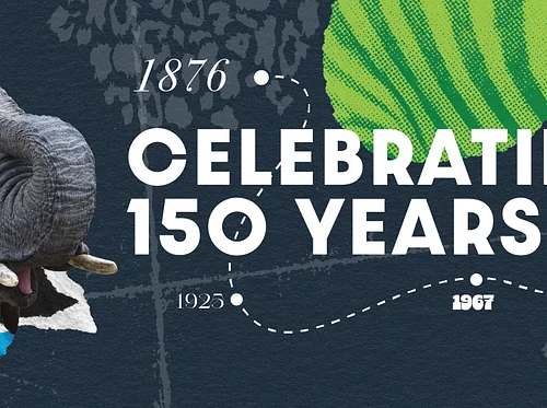 150 Years & Counting: Walking through History at the Maryland Zoo