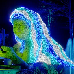 Garden Lights, Holiday Nights Volunteer Training