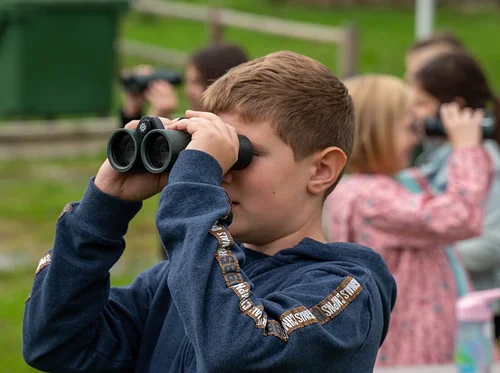 Week 5: Bird Brained