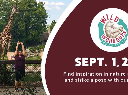 Wild Workout: Yoga (Giraffe)