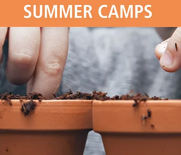 Magic in the Garden Summer Camp 7.6-7.10