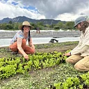 Gardening 101 Online Course