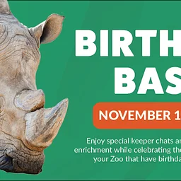 November Birthday Bash
