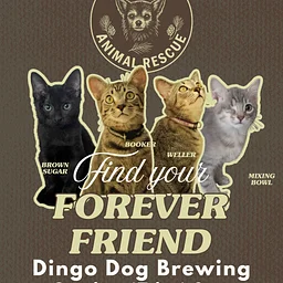 Find Your Forever Friend Adoption Event